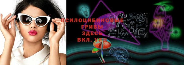 spice Кулебаки