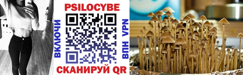 Псилоцибиновые грибы мухоморы  купить наркотики сайты  Питкяранта 